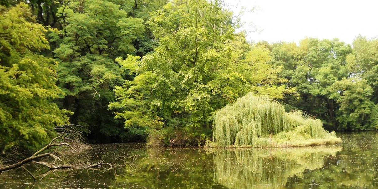 Schlosspark Rötha ©Stadtverwaltung Rötha