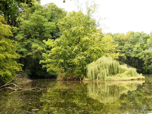 Schlosspark Rötha ©Stadtverwaltung Rötha