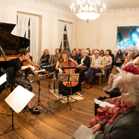 Koncert instrumentalny z udziałem publiczności odbywa się w sali w Domu Schumanna w Lipsku, muzyka, kultura, miasto muzyki