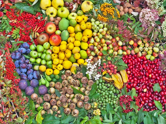 Sornziger Wilde Früchteernte - Regionale Produkte aus Leipzig