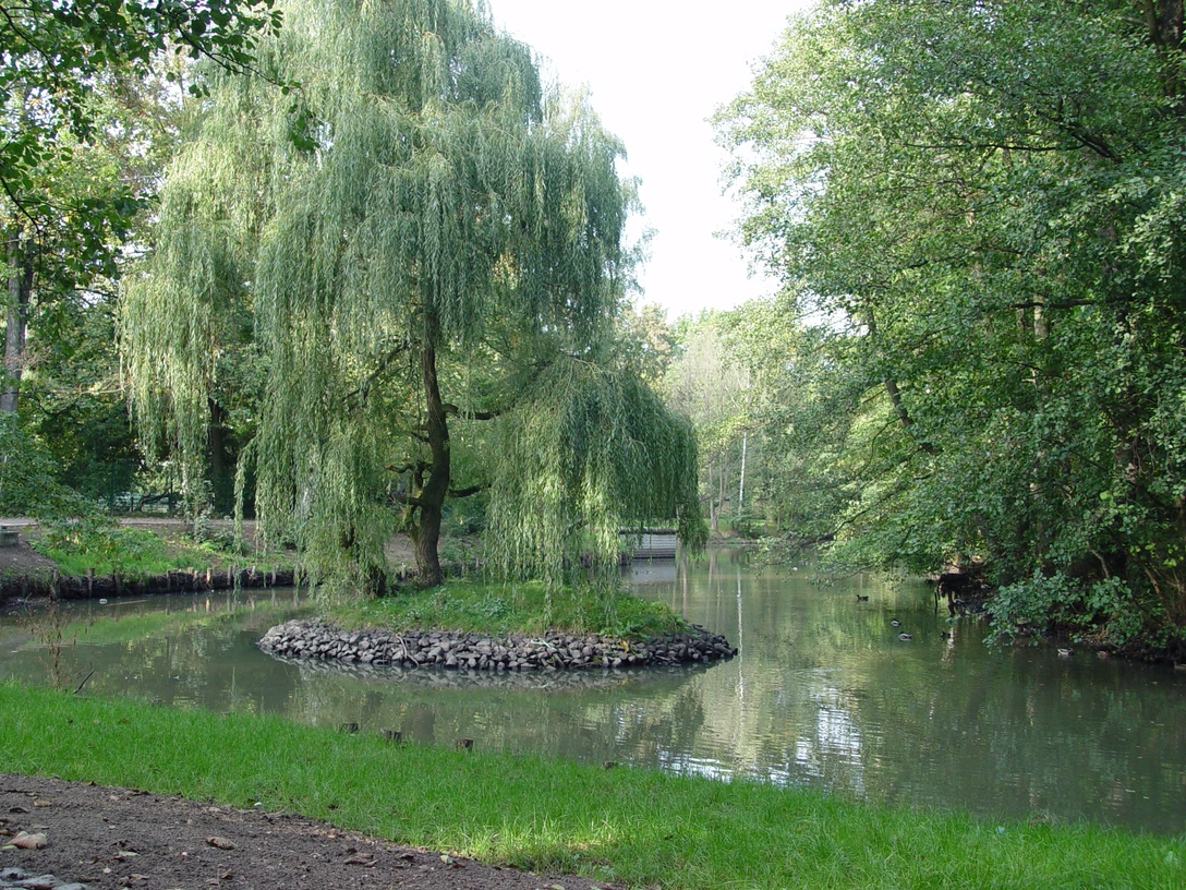 Stadtpark Eilenburg © SV Eilenburg