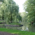 Stadtpark Eilenburg © SV Eilenburg