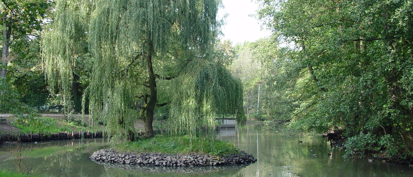 Stadtpark Eilenburg © SV Eilenburg