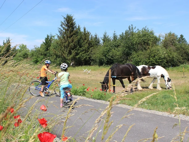Mulderadweg bei Thallwitz