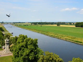 Elbe in Torgau