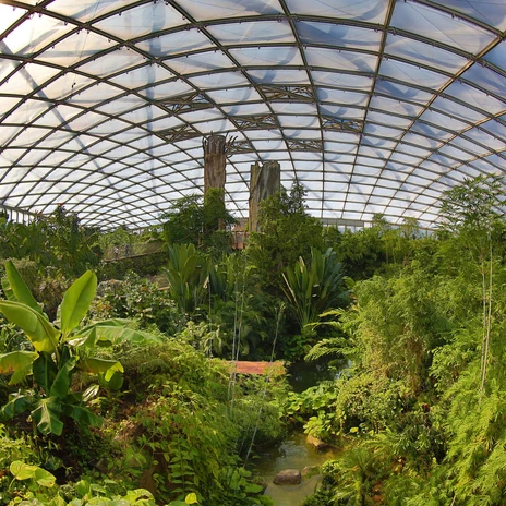 Gondwanaland im Zoo Leipzig - Tierisches Leipzig