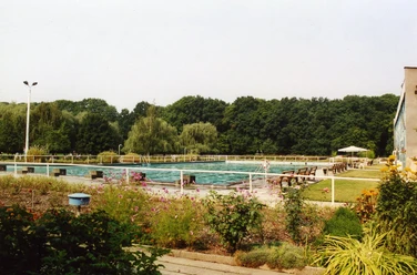 Forest pool in Zwenkau