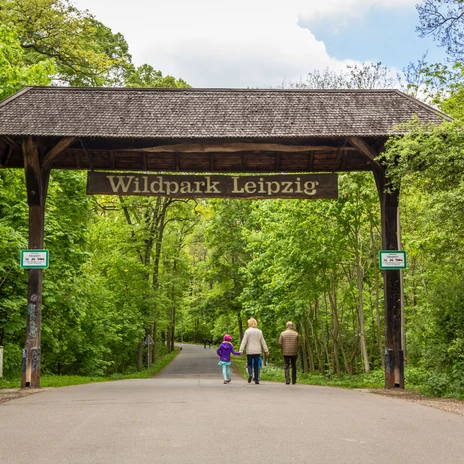 Vue de l'accès au parc animalier de Leipzig dans le sud de Connewitz, dans la forêt verte, avec une grande arche en bois et l'inscription "Wildpark Leipzig", qu'une famille vient de franchir.