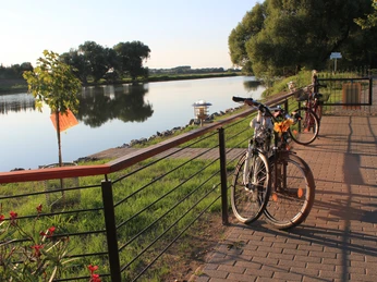 Mulderadweg bei Wurzen