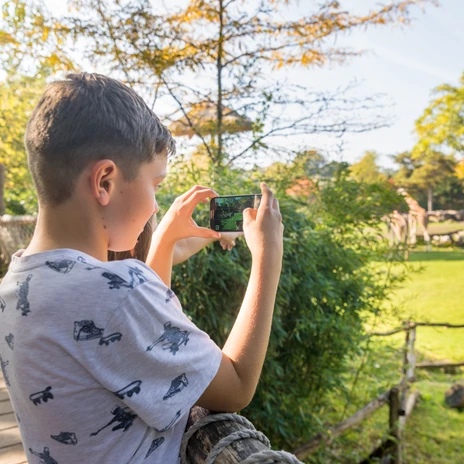Zoo Leipzig mit Blick auf das Giraffengehege - Leipzig mit Kindern