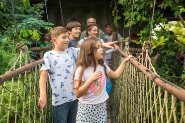 Eine Familie läuft eine Hängebrücke im Gondwanaland des Zoo Leipzig entlang und schaut sich nach Tieren um, Familie, Freizeit, Ausflug, Kinder
