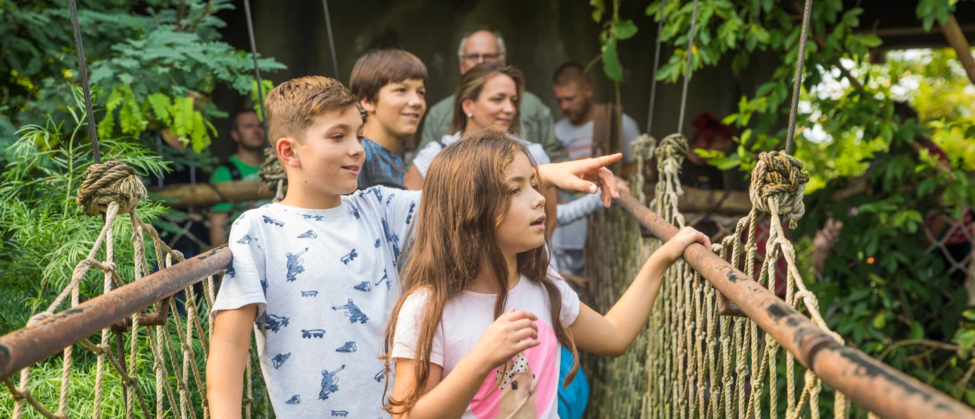 Eine Familie läuft eine Hängebrücke im Gondwanaland des Zoo Leipzig entlang und schaut sich nach Tieren um, Familie, Freizeit, Ausflug, Kinder