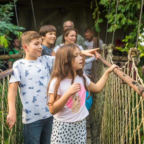 Rodzina spaceruje po wiszącym moście w Gondwanaland w zoo w Lipsku i rozgląda się za zwierzętami, Rodzina, Czas wolny, Wycieczka, Dzieci