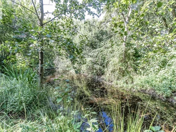 Hammersee Juist.jpg Hammersee Juist