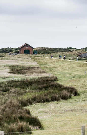 Weg zur Bill.jpg Weg zur Bill