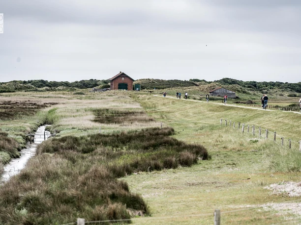 Weg zur Bill.jpg Weg zur Bill