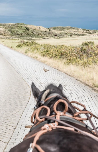 Flugplatzstraße Juist