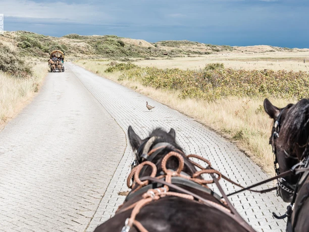 Flugplatzstraße Juist