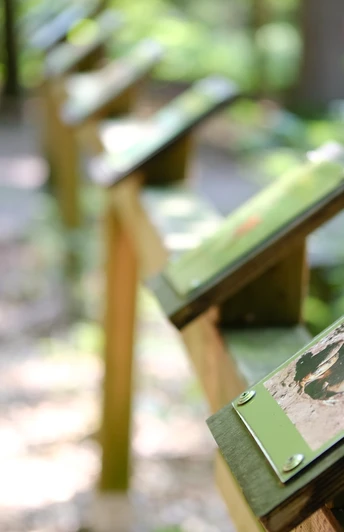 Ein Holzgeländer im Wald trägt mehrere Infotafeln, die entlang eines verschlungenen Pfades aufgestellt sind.
