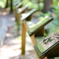 Walderlebnispfad Leistruper Wald Ein Holzgeländer im Wald trägt mehrere Infotafeln, die entlang eines verschlungenen Pfades aufgestellt sind.