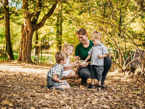 Tierpark Freiberg Eine Familie füttert im Tierpark Freiberg Tiere unter herbstlichen Bäumen.