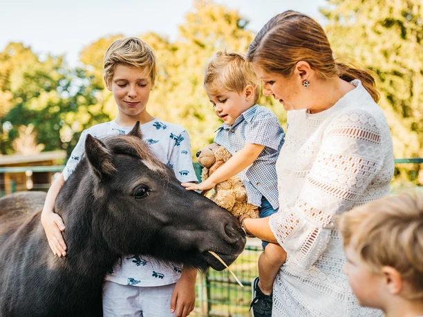 Tierpark Freiberg Eine Gruppe von Kindern streichelt ein kleines schwarzes Pony im Tierpark Freiberg.
