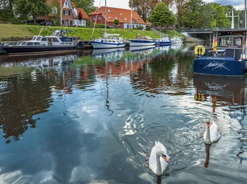 Schwäne im Rüstersieler Hafen