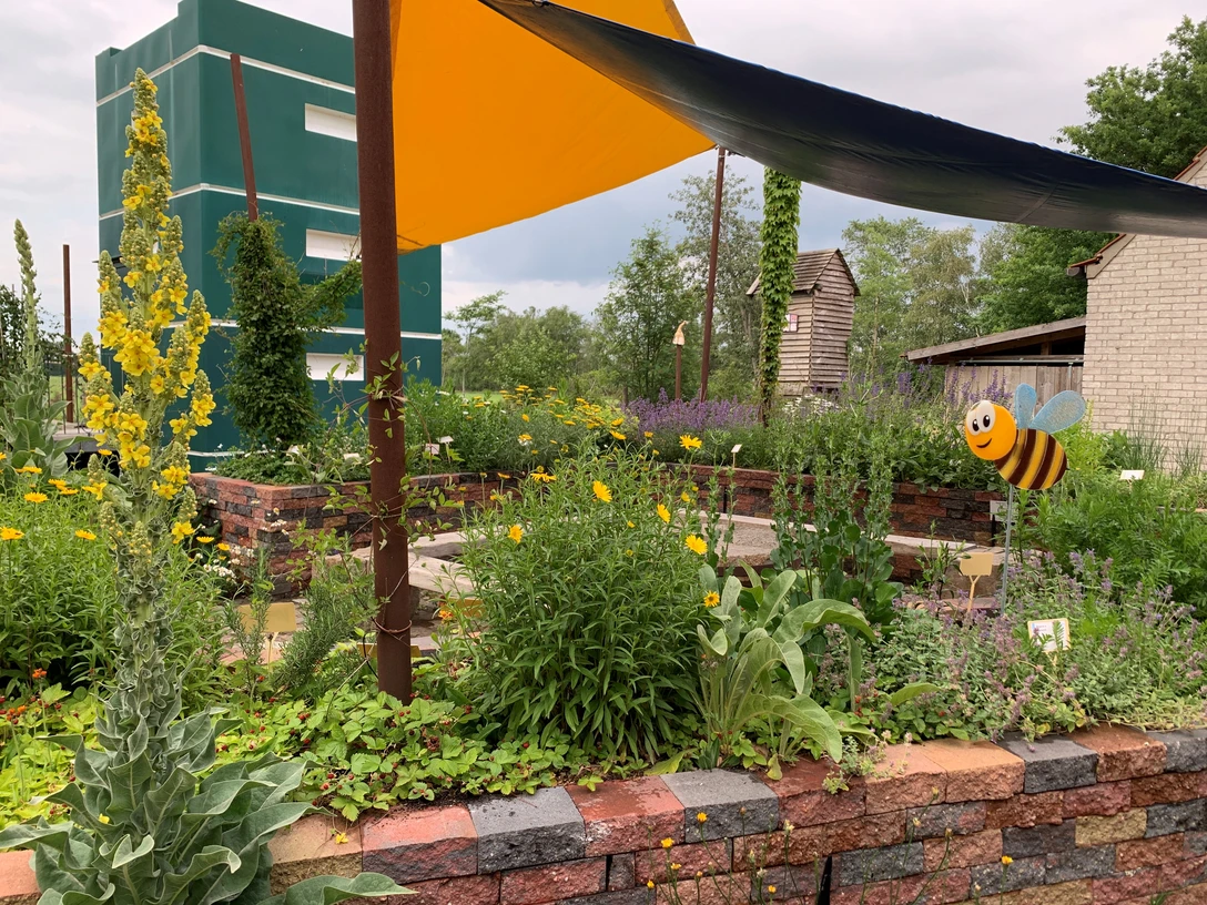 Deutsch-niederländisches Bienenzentrum Bourtanger Moor Blühender Garten mit Hochbeeten, gelben Blumen, Kunstbiene und grünem Gebäude im Hintergrund
