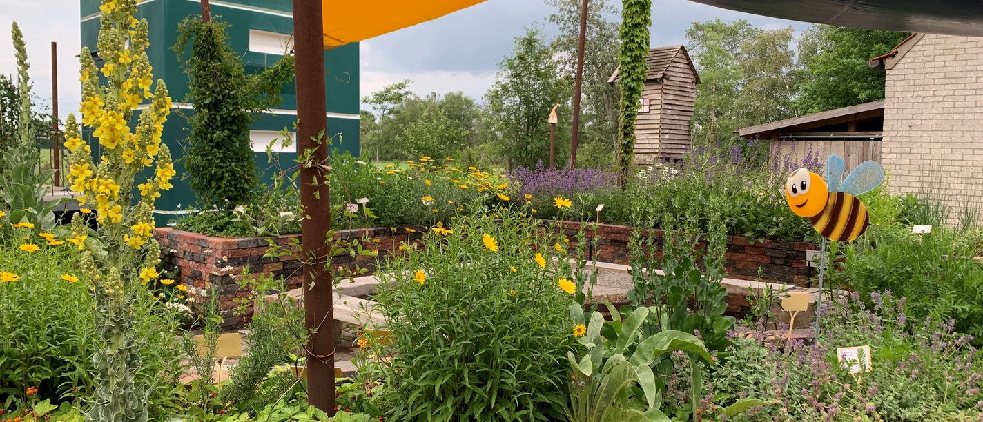 Blühender Garten mit Hochbeeten, gelben Blumen, Kunstbiene und grünem Gebäude im Hintergrund