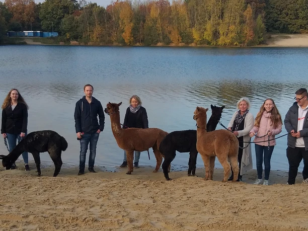 Alpaka Wanderung zum Dankernsee