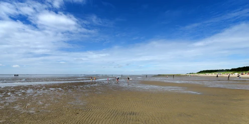 Watt allgemein - 2016.07.18 - 15.40.53.jpg