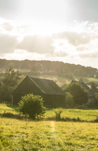 Traditionelle Kotten in idyllischer Lichtstimmung Landschaft mit traditionellem Kotten, umgeben von grünen Feldern und sanften Hügeln.