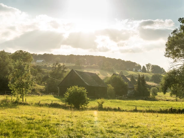 Traditionelle Kotten in idyllischer Lichtstimmung Landschaft mit traditionellem Kotten, umgeben von grünen Feldern und sanften Hügeln.