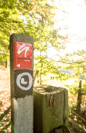 neanderland STEIG Wegmarkierung Wegweiser des neanderland STEIGs in einem lichten Wald, Sonnenlicht bricht durch die Bäume.