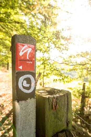 neanderland STEIG Wegmarkierung Wegweiser des neanderland STEIGs in einem lichten Wald, Sonnenlicht bricht durch die Bäume.