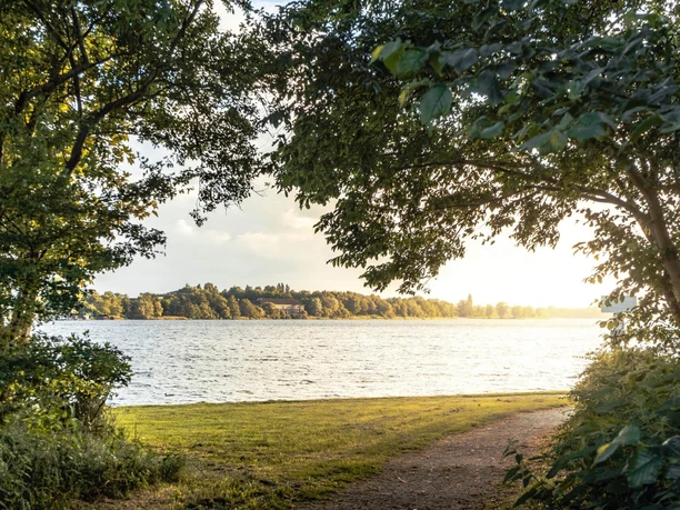 Natur pur am Banter See