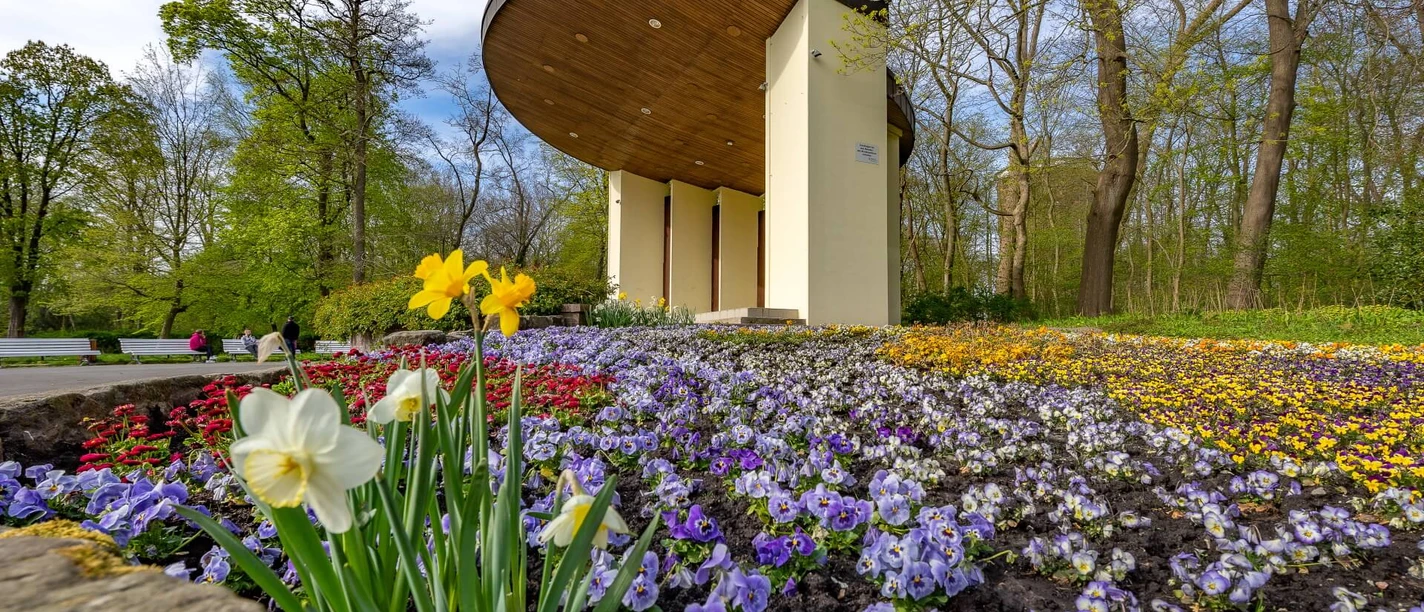 Musikmuschel im Kurpark