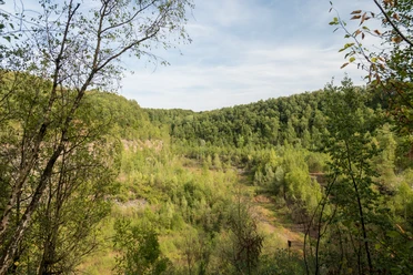 Entlang der Grube 7 bei Haan-Gruiten Üppige grüne Wälder umrahmen die sanft geschwungene Landschaft entlang der Grube 7 bei Haan-Gruiten.