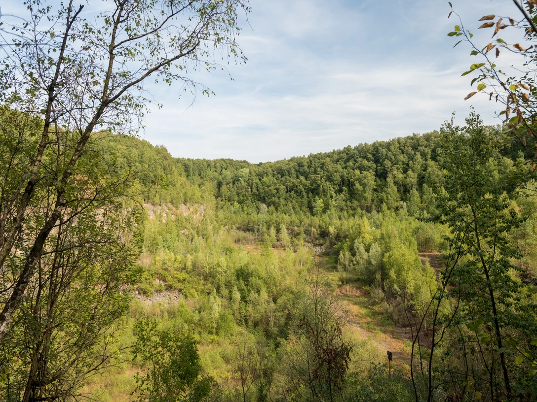 Entlang der Grube 7 bei Haan-Gruiten Üppige grüne Wälder umrahmen die sanft geschwungene Landschaft entlang der Grube 7 bei Haan-Gruiten.