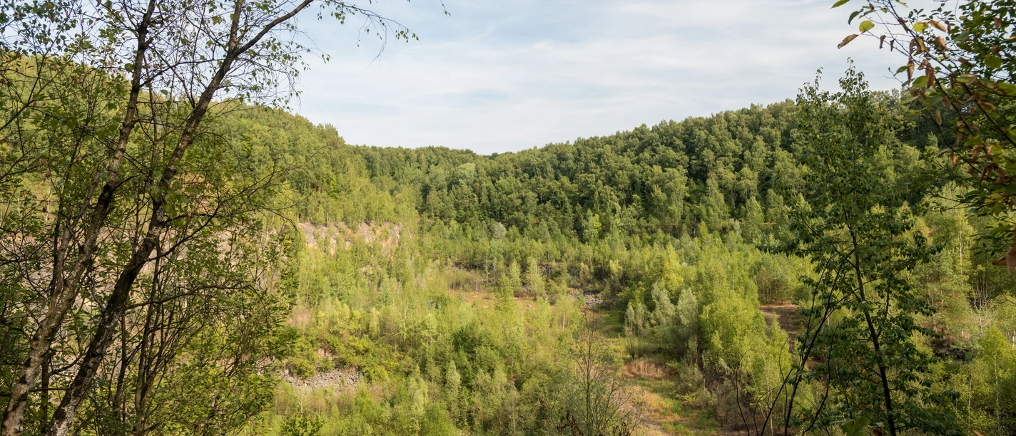 Entlang der Grube 7 bei Haan-Gruiten Üppige grüne Wälder umrahmen die sanft geschwungene Landschaft entlang der Grube 7 bei Haan-Gruiten.