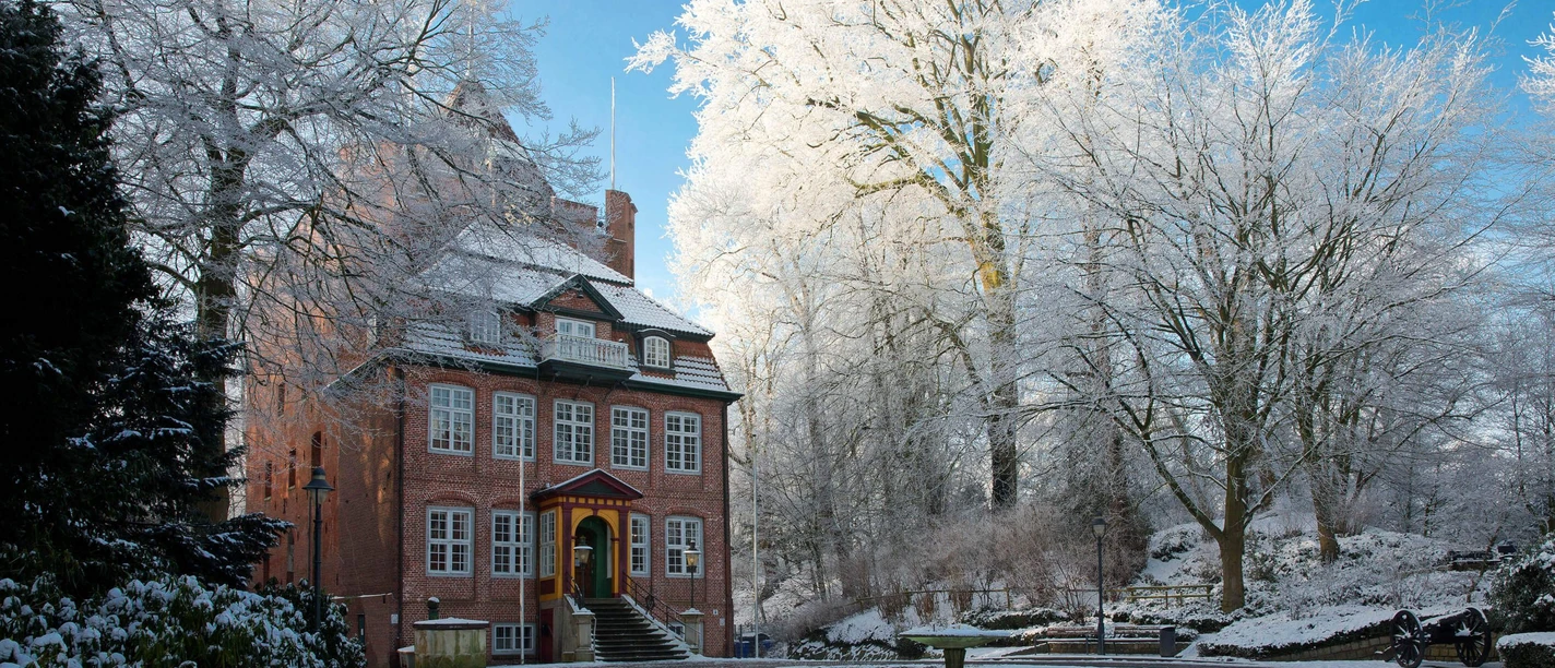 Schloss Ritzebüttel, Winter.jpg