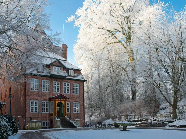 Schloss Ritzebüttel, Winter.jpg