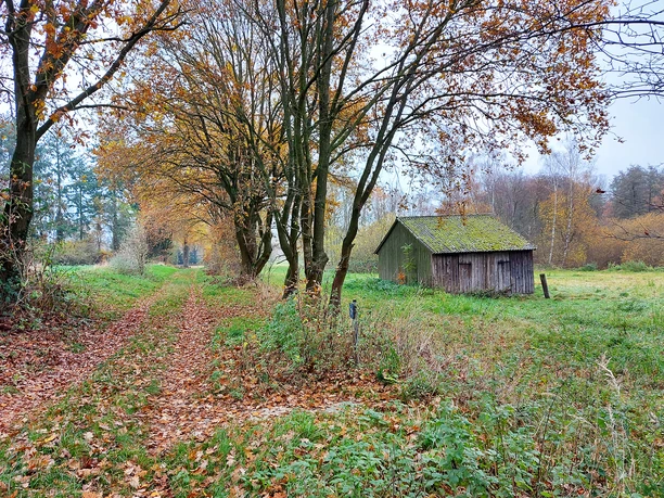 Op zoek naar aanwijzingen Heidmark Schweimke