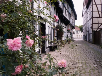 Fachwerkhäuser säumen eine Kopfsteinpflastergasse in Detmold, eingerahmt von blühenden Rosen.