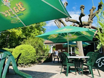 Ein sonniger Biergarten mit grünen Tischen und Stühlen, umgeben von Schatten spendenden Bäumen.