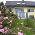 Blick aus dem Garten: Hausansicht mit Wintergarten, gepflegtem Garten und Rosenbüschen im Vordergrund.