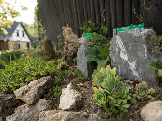 Mineralienpfad Gruiten Steine und Pflanzen entlang eines Pfades im Grünen mit einem Fachwerkhaus im Hintergrund.