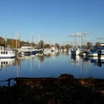 Vareler Hafen Blick auf das Hafenbecken.jpg