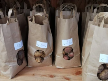 Grüne Berta Grüne Berta