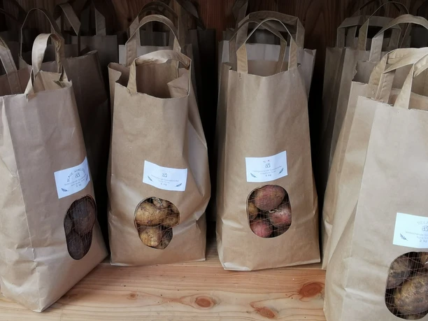 Grüne Berta Grüne Berta